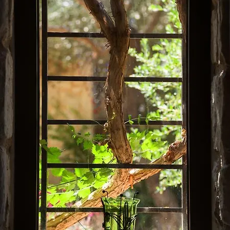 Olive Hill House 度假居 *